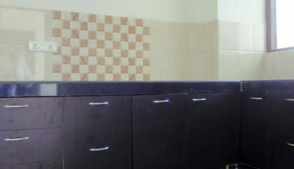 Images for Main Other of Best Orchid Greens