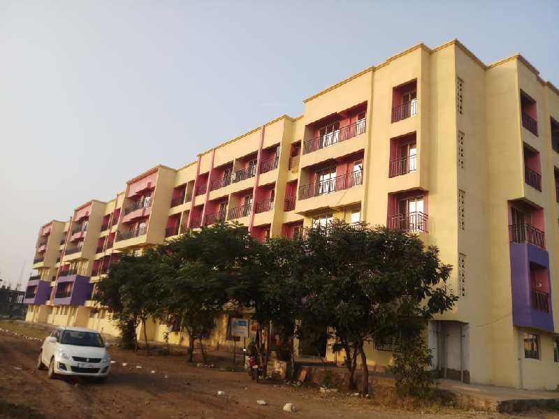  jupiter complex Elevation