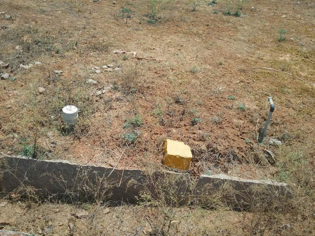  residency Images for Main Other of SS Residency