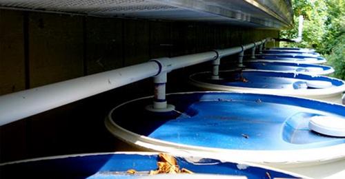  greens Images for Amenities of Shubham Builders and Developers Greens