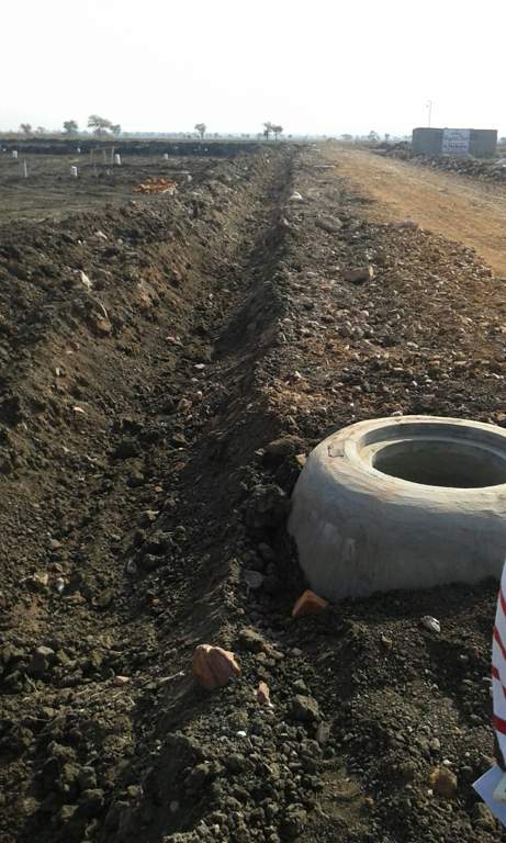  classic phase ii Images for Main Other of Yesh Classic Phase II