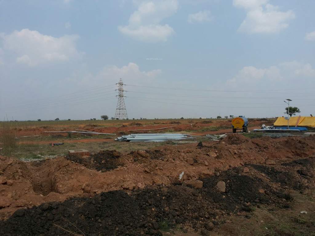  classic phase ii Images for Main Other of Yesh Classic Phase II