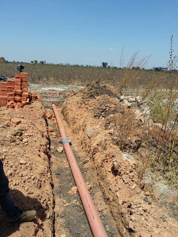  classic phase ii Images for Main Other of Yesh Classic Phase II