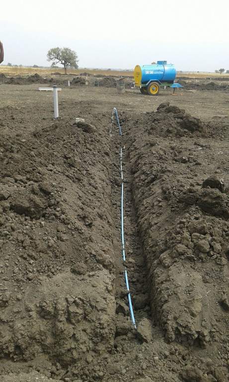  classic phase ii Images for Main Other of Yesh Classic Phase II