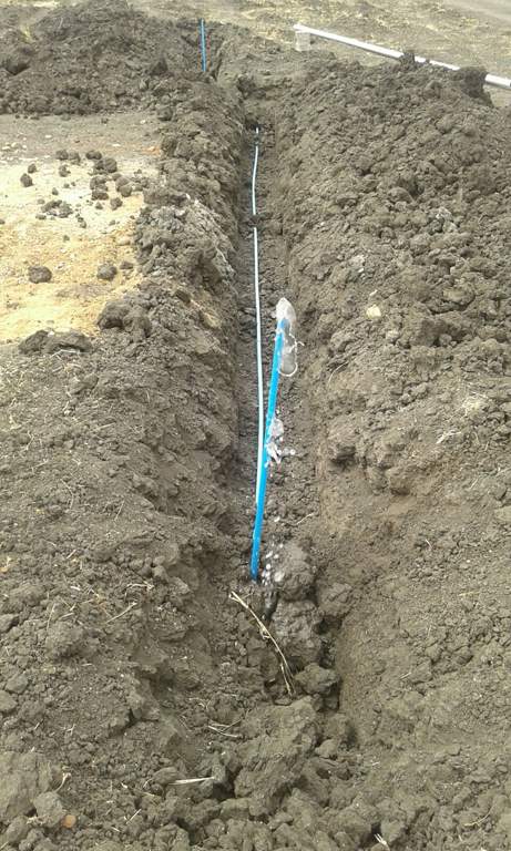  classic phase ii Images for Main Other of Yesh Classic Phase II