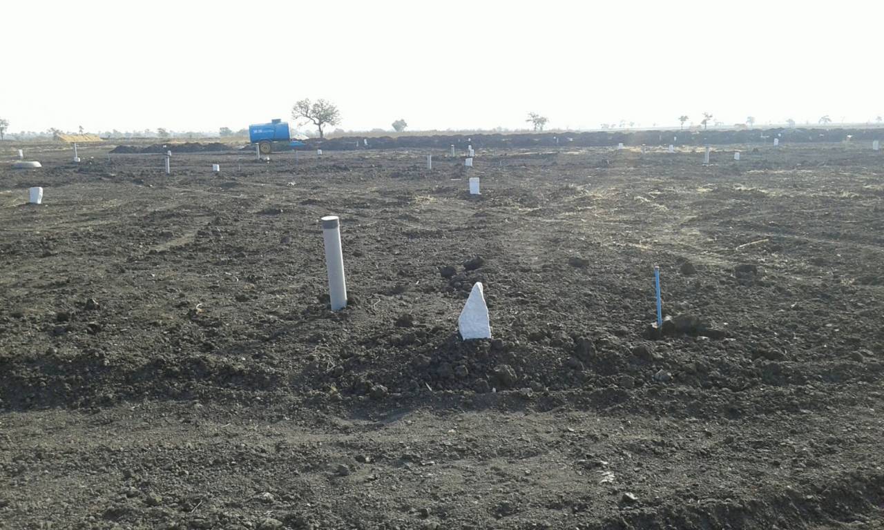 Images for Main Other of Yesh Classic Phase II