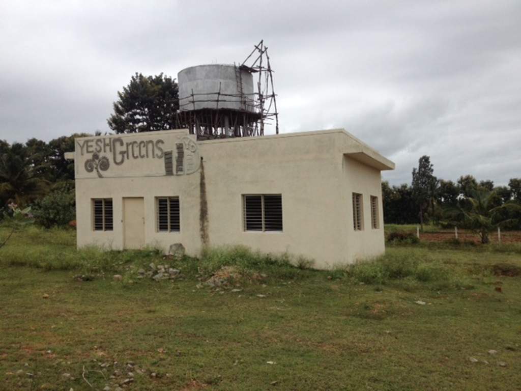  greens phase ii Images for Main Other of Yesh Greens Phase II