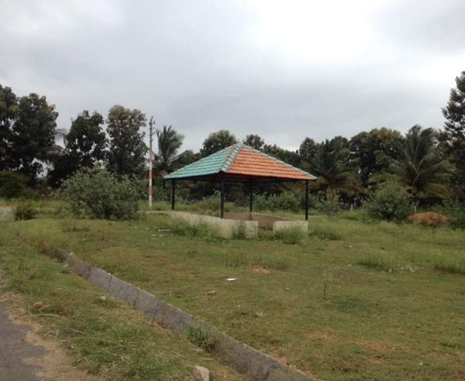  greens phase ii Images for Main Other of Yesh Greens Phase II