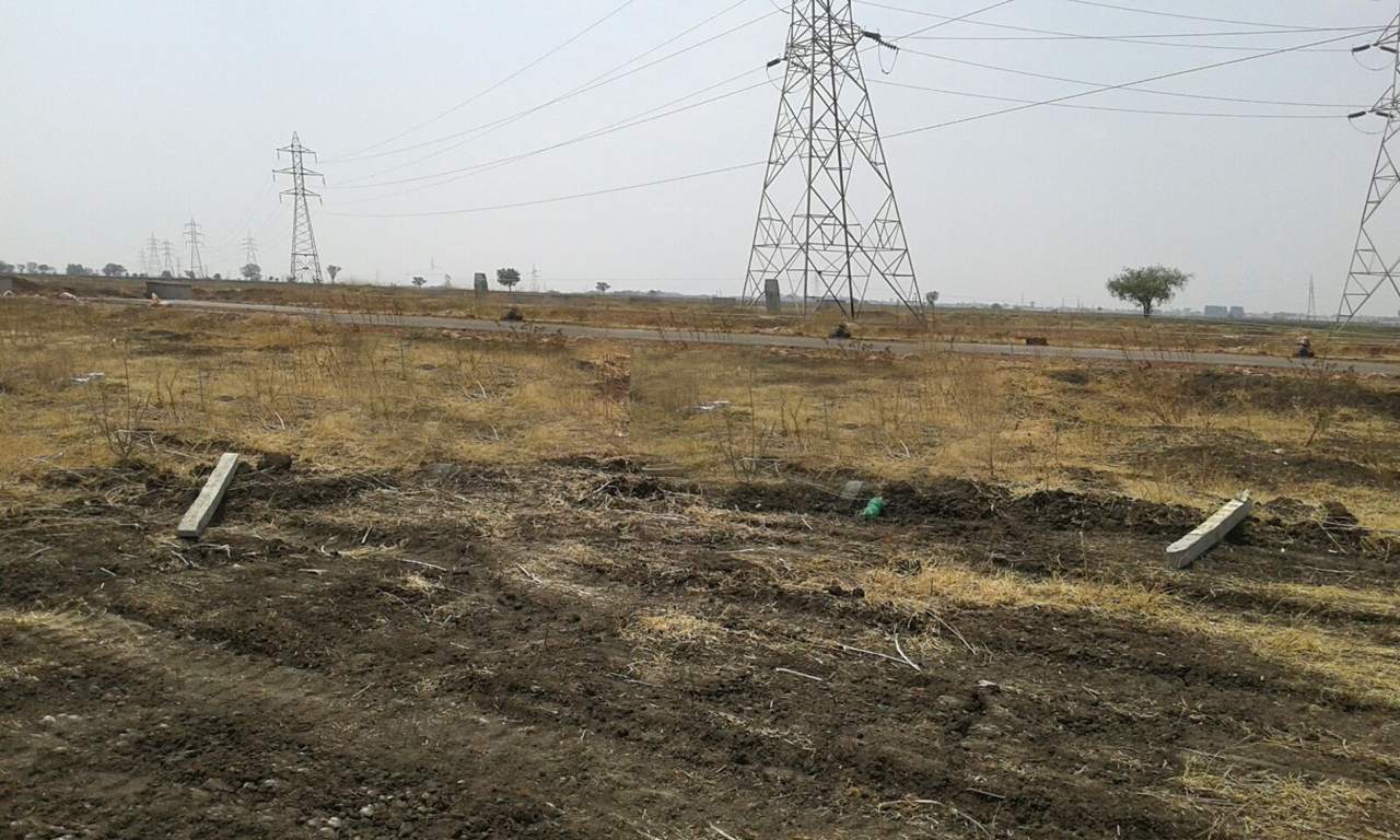  greens phase ii Images for Main Other of Yesh Greens Phase II