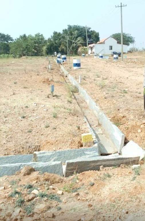  greens phase ii Images for Main Other of Yesh Greens Phase II