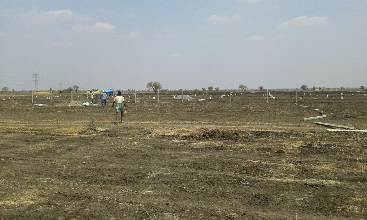  greens phase ii Images for Main Other of Yesh Greens Phase II