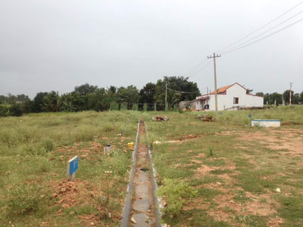  greens phase ii Images for Main Other of Yesh Greens Phase II