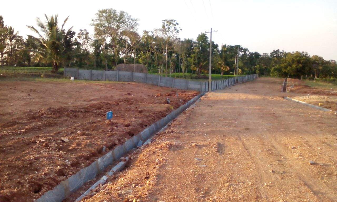  greens phase ii Images for Main Other of Yesh Greens Phase II