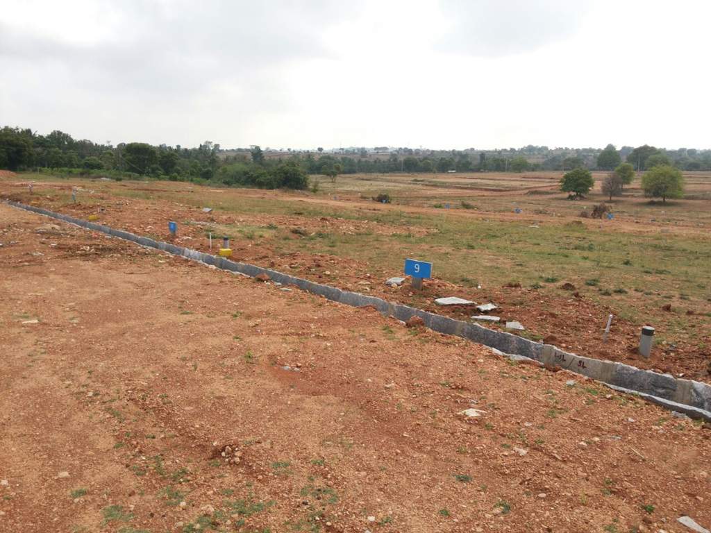  greens phase ii Images for Main Other of Yesh Greens Phase II