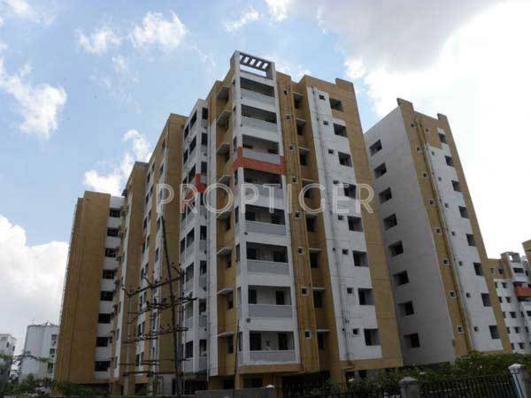 Images for Elevation of Pace Adarsa adarsa Images for Elevation of Pace Adarsa