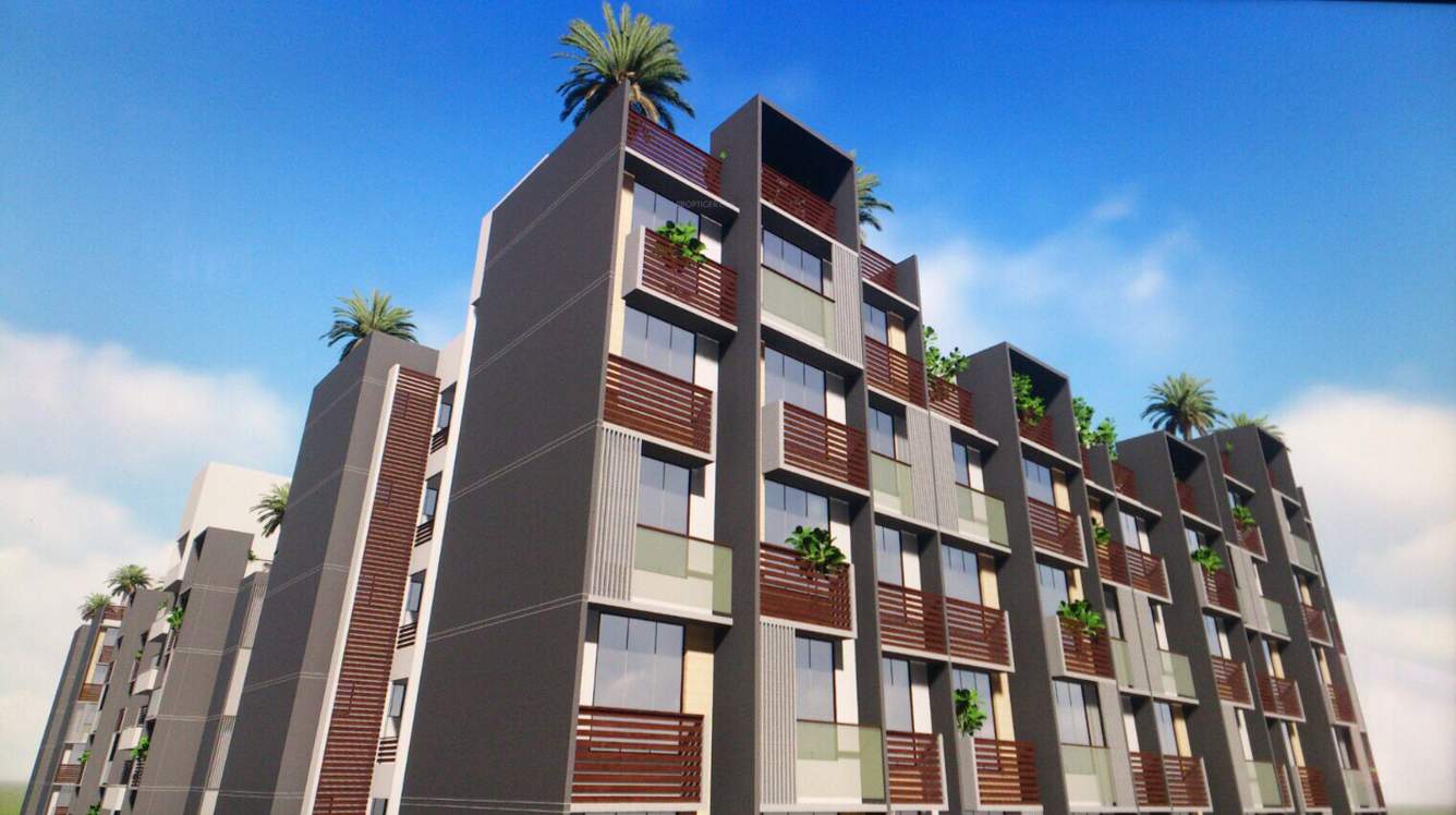 celebrations Images for Elevation of Kavisha Celebrations