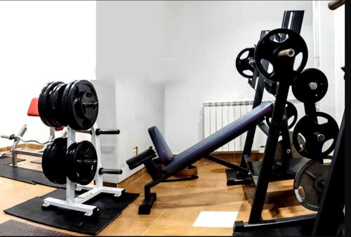 Gymnasium garden-terrace Gymnasium