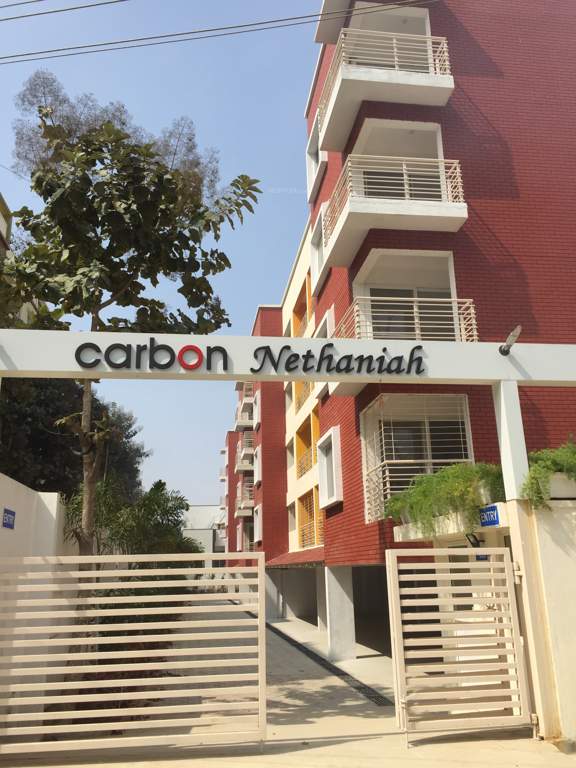  nethaniah Images for Project