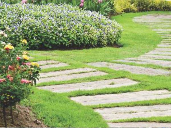 Images for Amenities of Voora Saraswathi