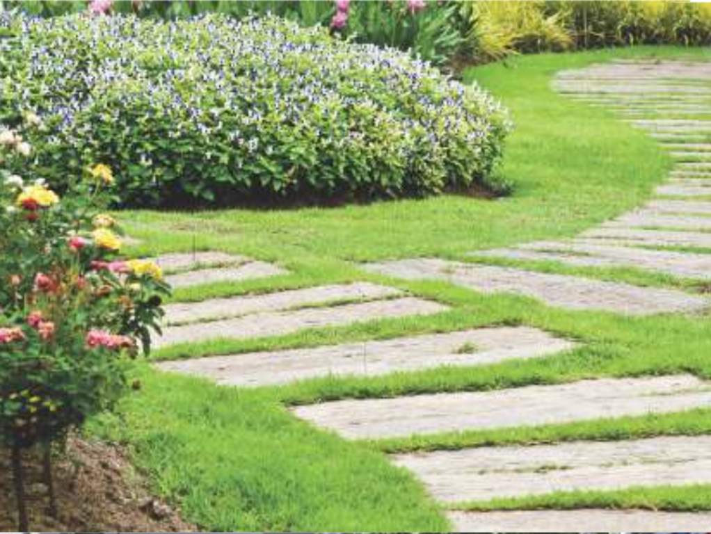 Images for Amenities of Voora Saraswathi