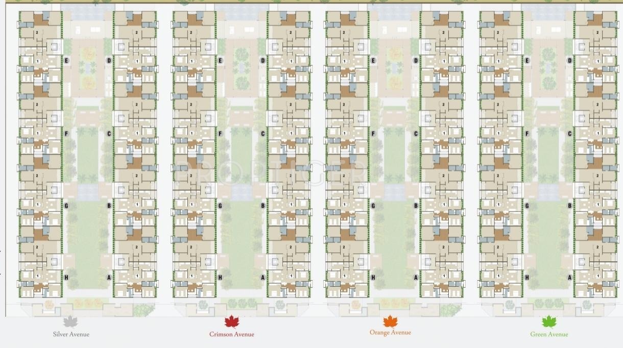 Images for Layout Plan of Ganesh Housing Maple County