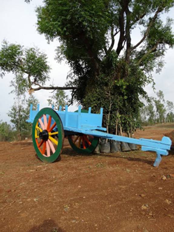 Images for Main Other of Sri Habitat