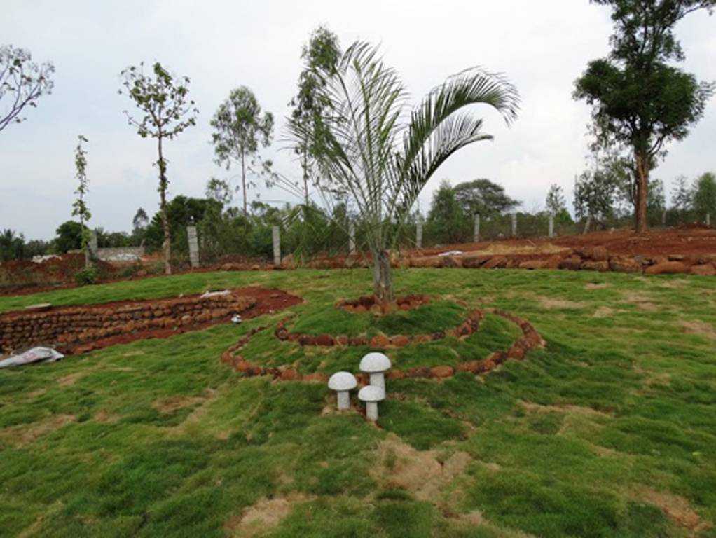 Images for Main Other of Sri Habitat