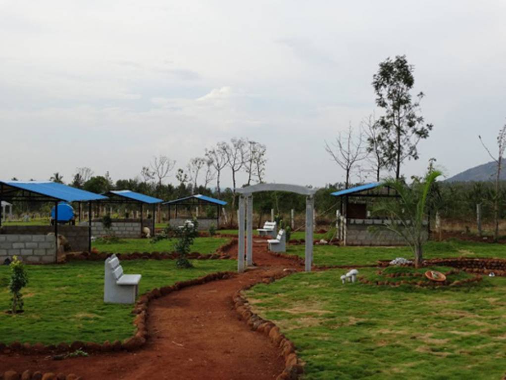 Images for Main Other of Sri Habitat