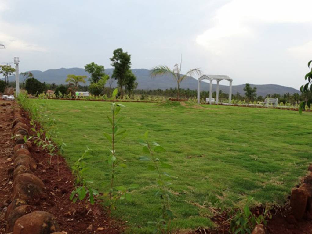 Images for Main Other of Sri Habitat