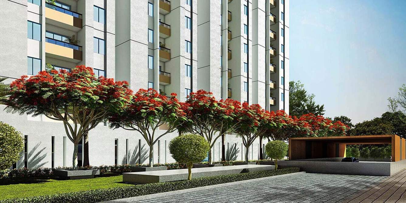 royale Images for Elevation of Radiance Royale