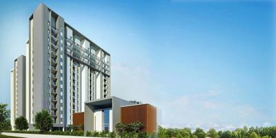  royale Images for Elevation of Radiance Royale