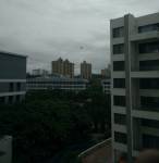 Elevation citroena Elevation