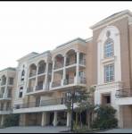  celestia-royal Elevation