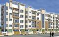 Rangashree Pearl