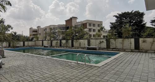  paradise Swimming Pool