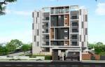 Images for Elevation of Aryamitra Florina florina Images for Elevation of Aryamitra Florina