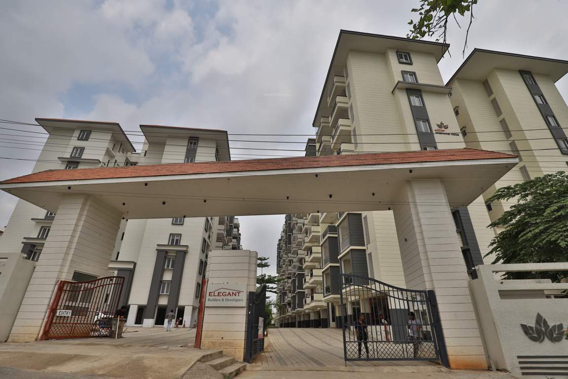  whispering winds Elevation