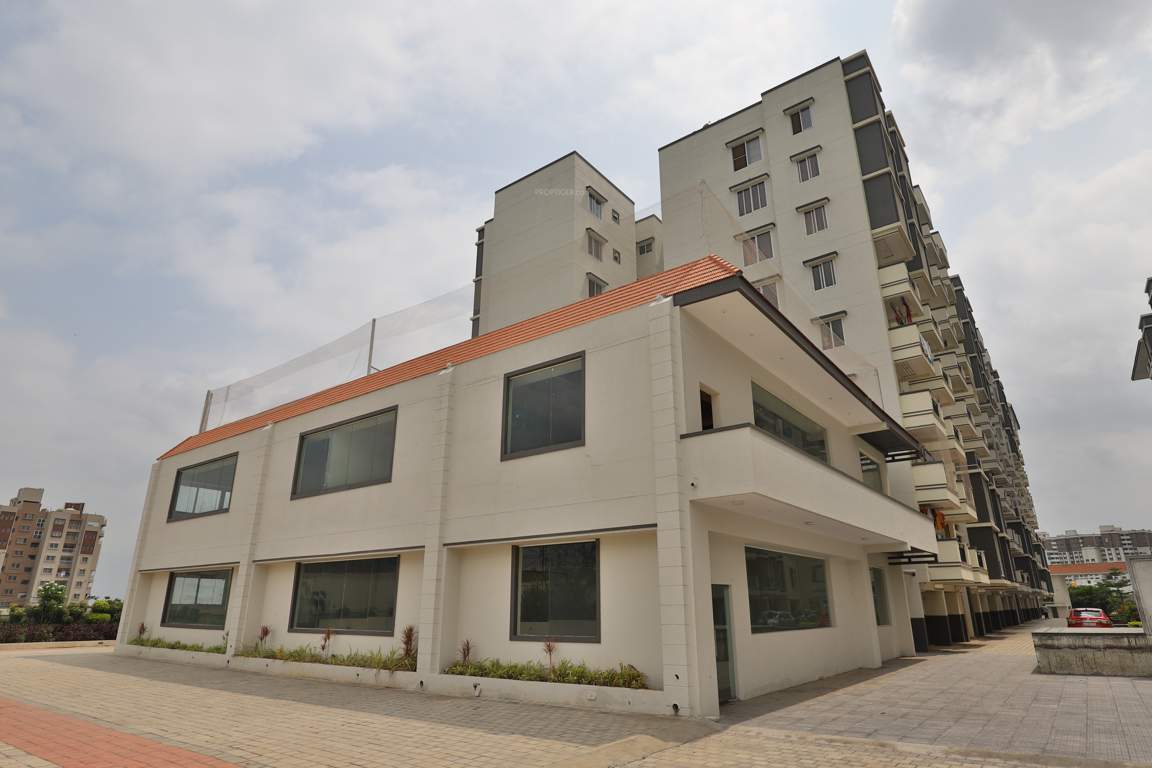  whispering winds Elevation