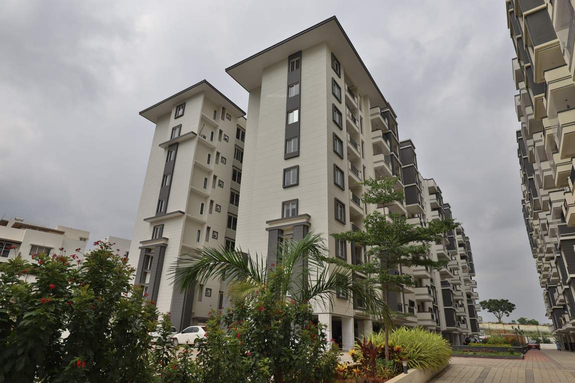  whispering winds Elevation