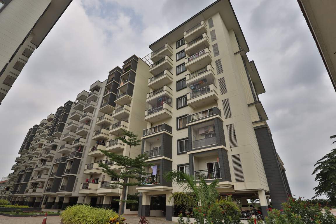  whispering winds Elevation