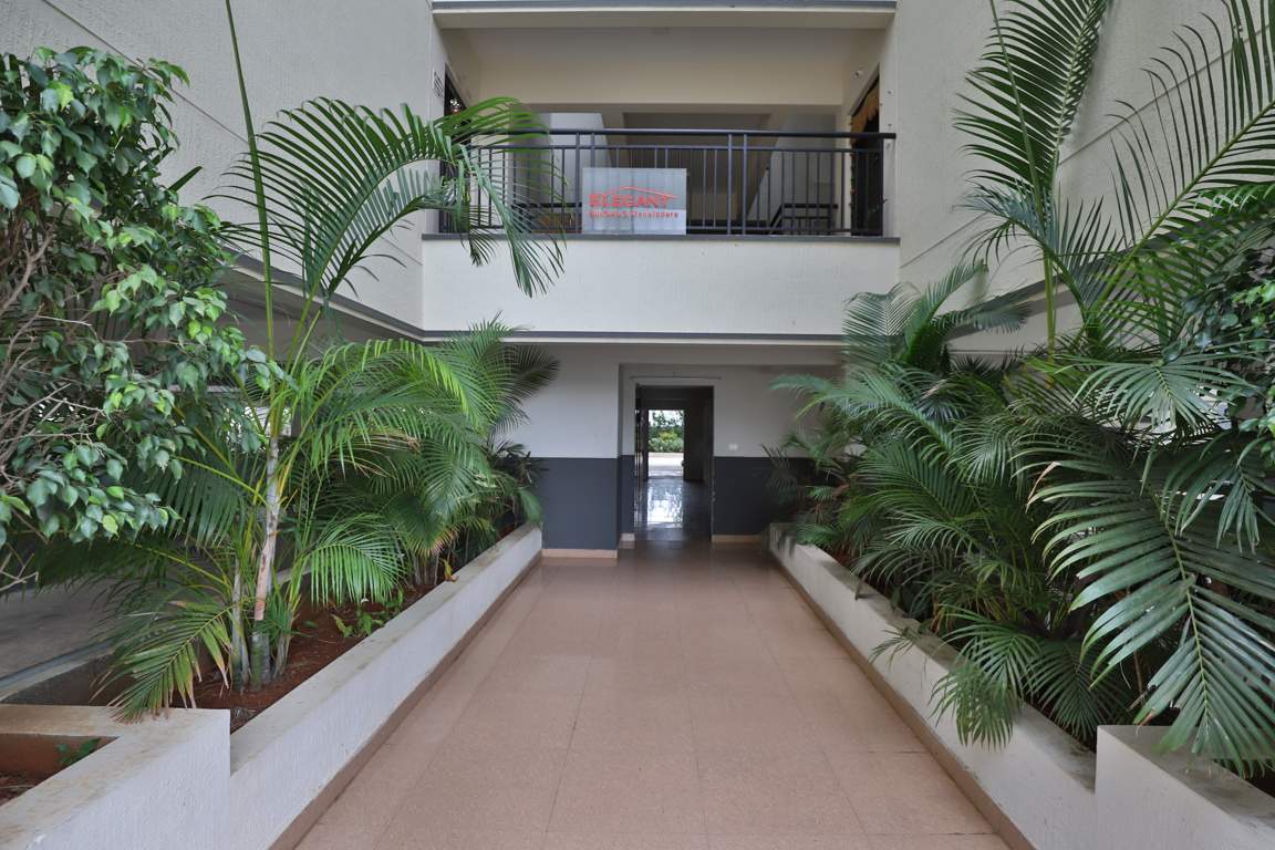  whispering winds Elevation