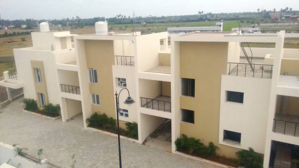 Elevation dahlia Elevation