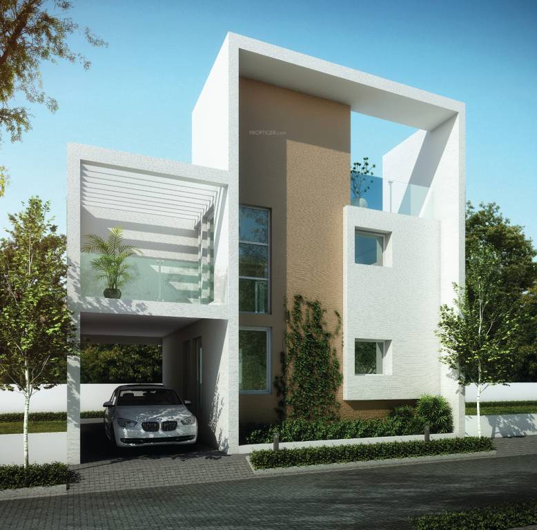 Images for Elevation of DABC Dahlia Images for Elevation of DABC Dahlia