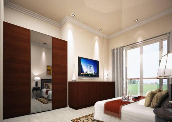 Images for Main Other of Surbacon Lavender Images for Main Other of Surbacon Lavender