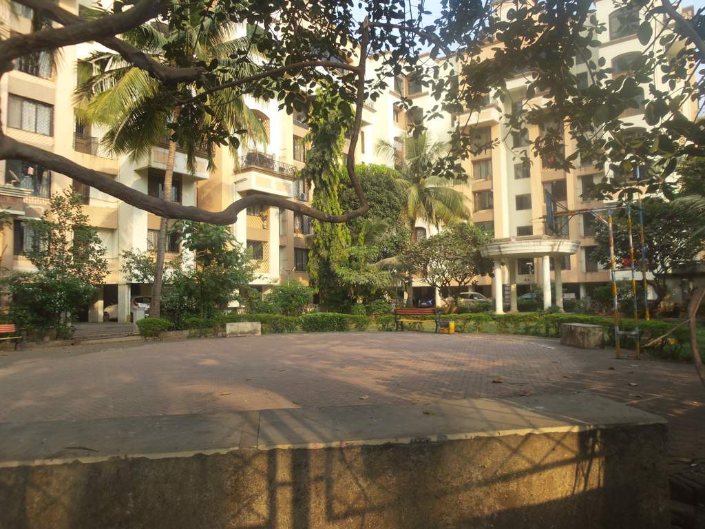 park Basketball Court