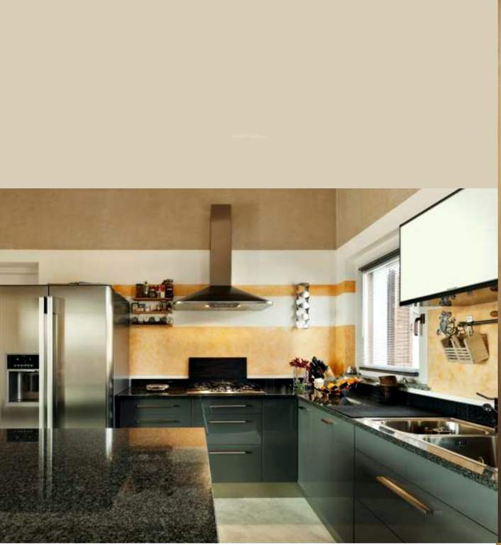 Images for Main Other of Omsree Patels Bright View