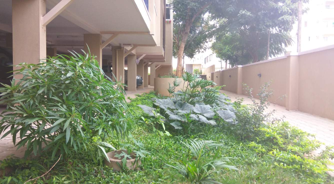  the greens slr cassia court Landscaped Gardens