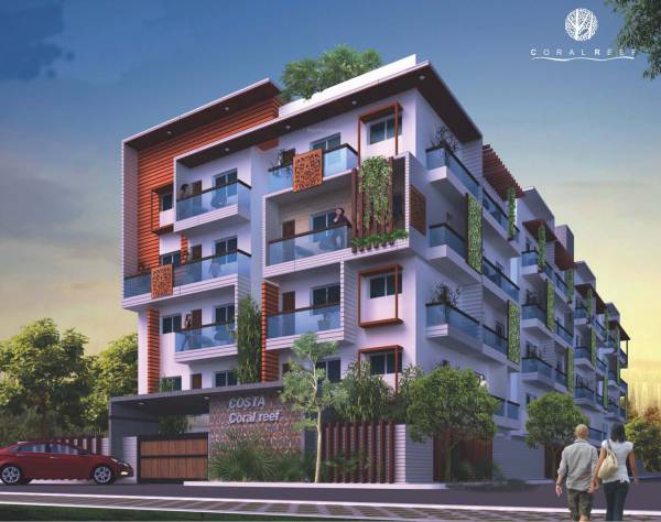 Images for Elevation of Costa Coral Reef