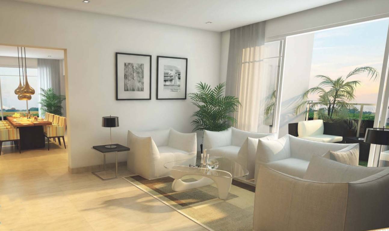 Images for Main Other of Costa Coral Reef