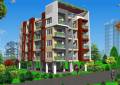 Organic Developer Dhanorina